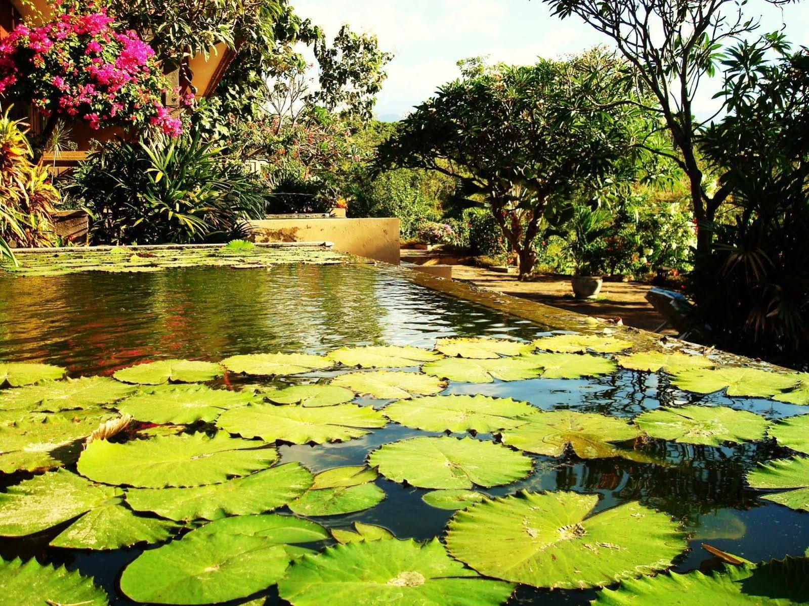 Zen Resort Bali Seririt  Eksteriør bilde